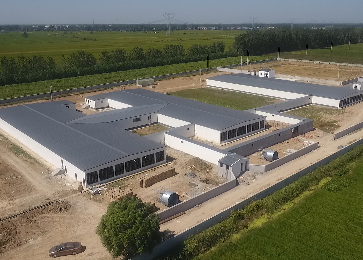 球盟会Antibio系统-灌云公猪站空气过滤