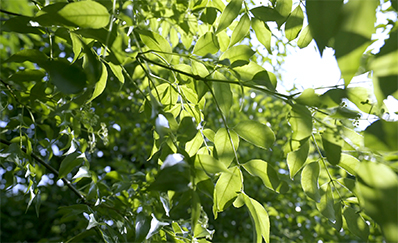 球盟会学堂即将启幕