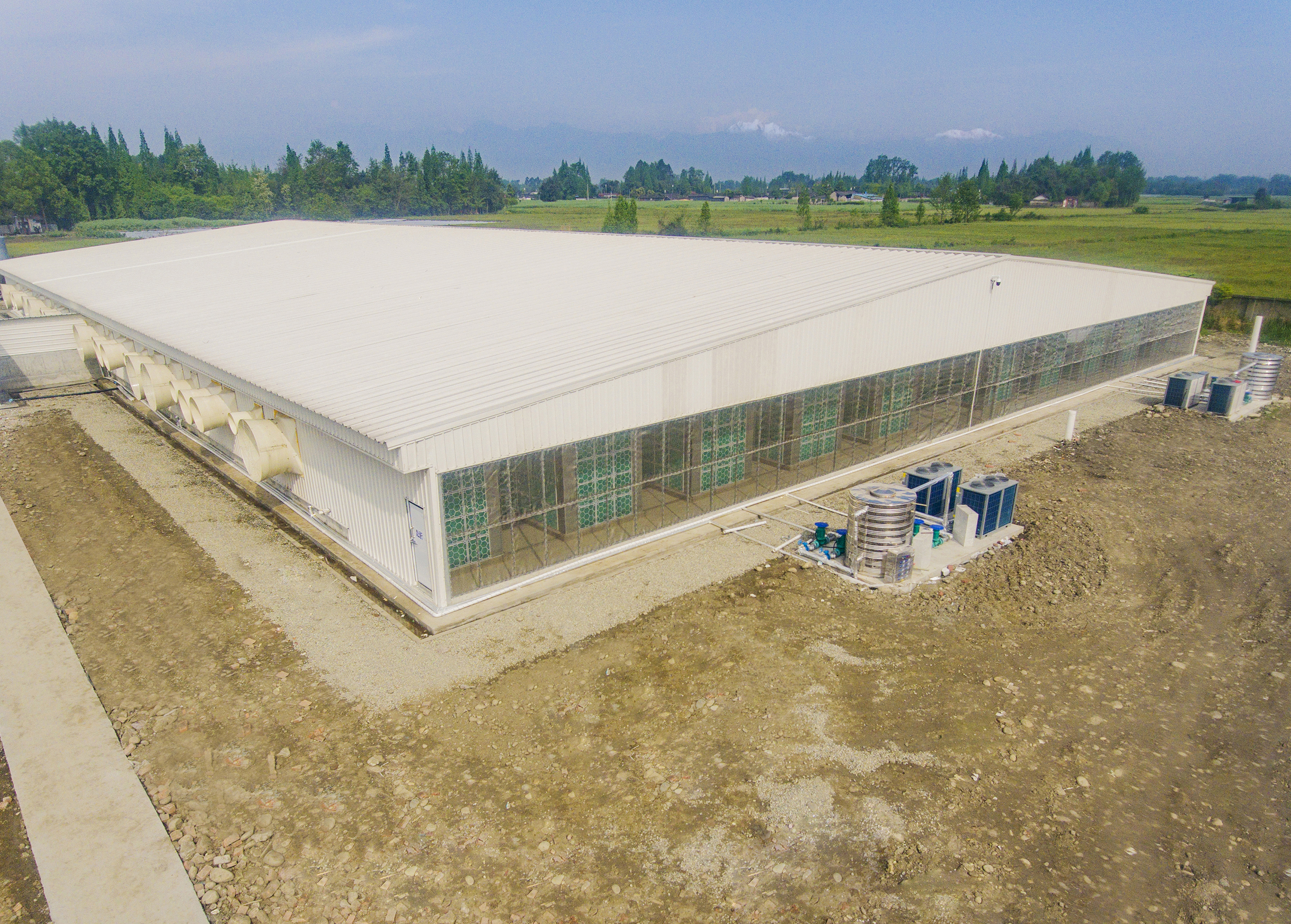 猪场空气过滤（球盟会Antibio系统—巨星农牧观胜育种场项目）